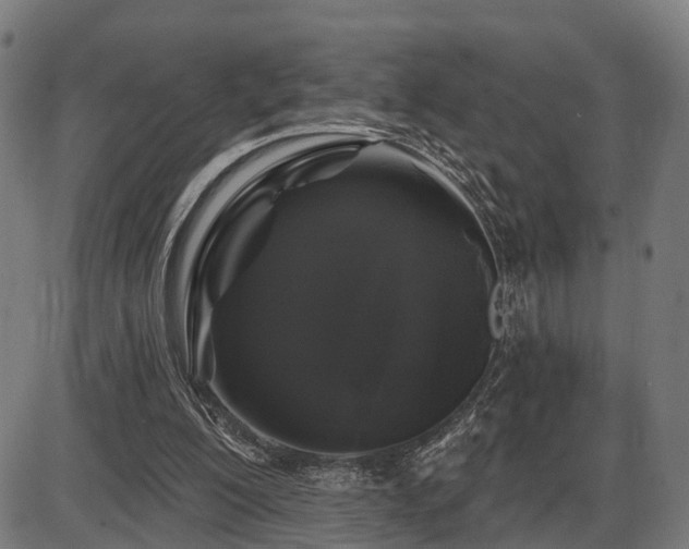 X0000087530200200704271215