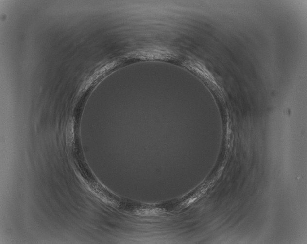 X0000087530202200704271215