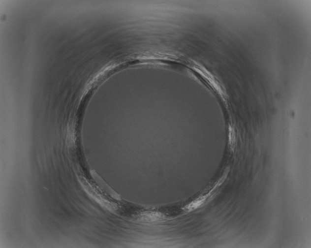X0000087530203200704271215