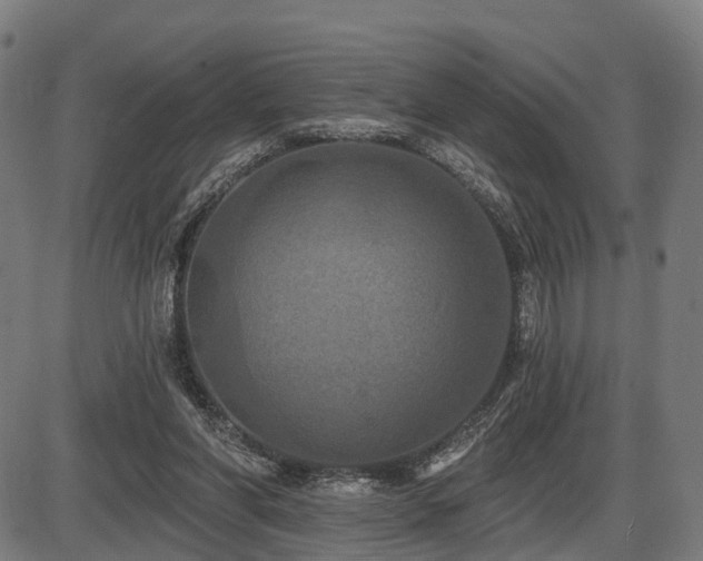 X0000087530206200704271215