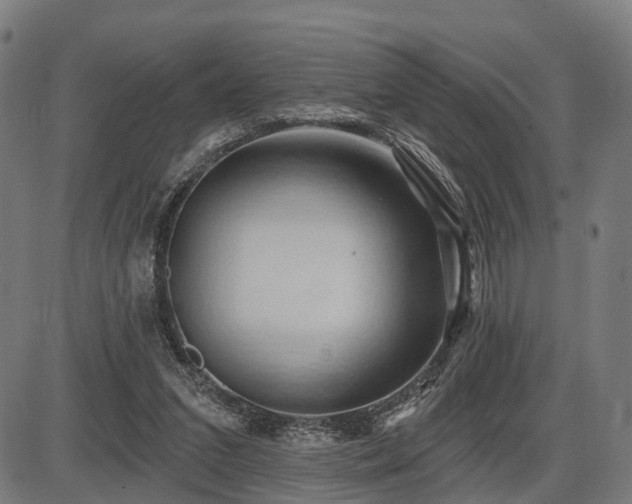 X0000087530207200704271215