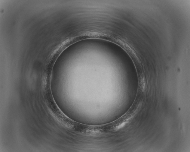X0000087530208200704271215