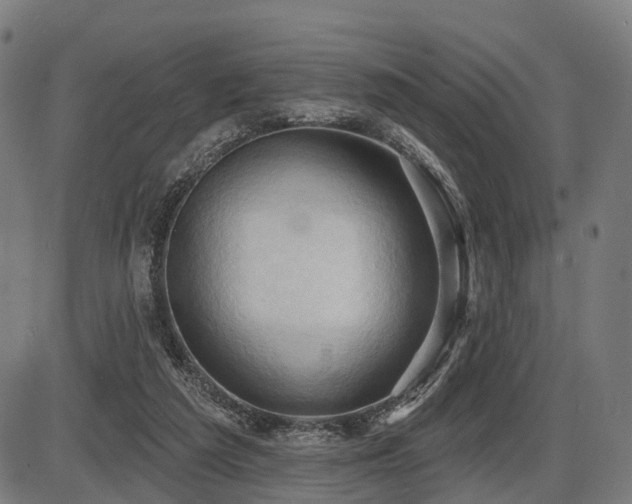 X0000087530209200704271215