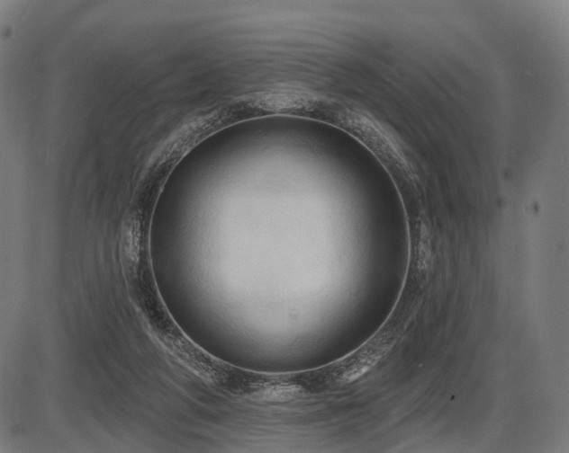 X0000087530210200704271215