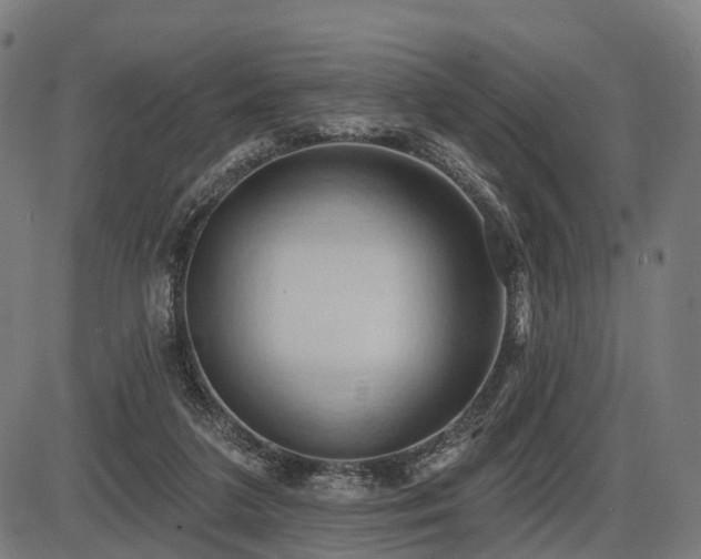 X0000087530211200704271215