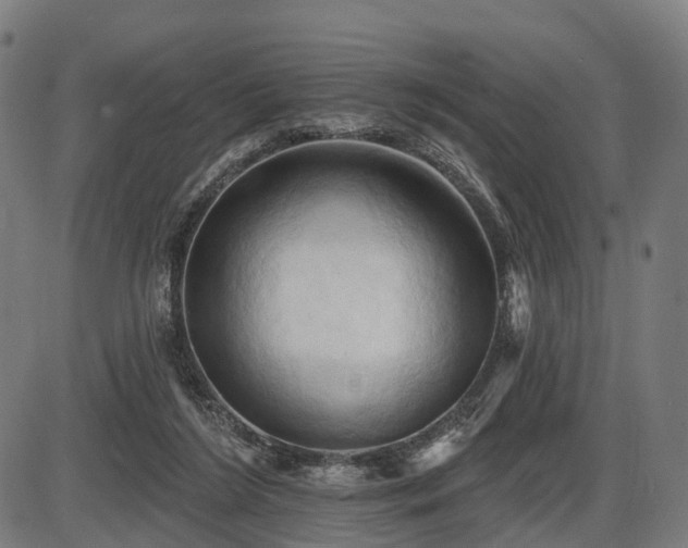 X0000087530212200704271215