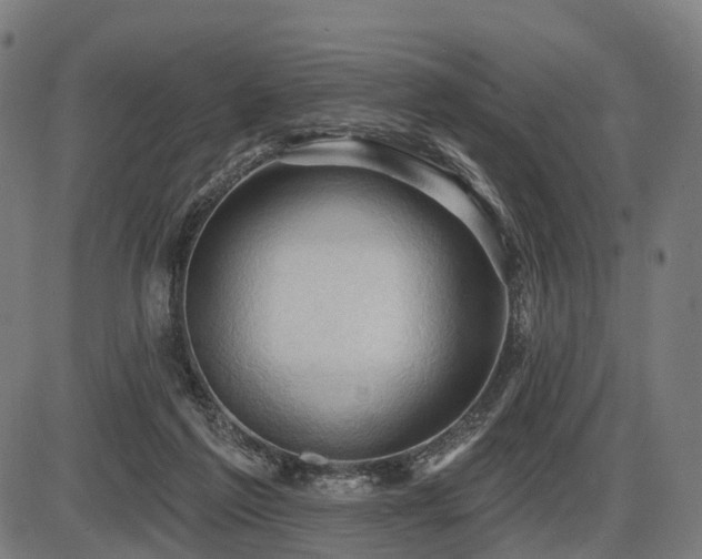 X0000087530213200704271215