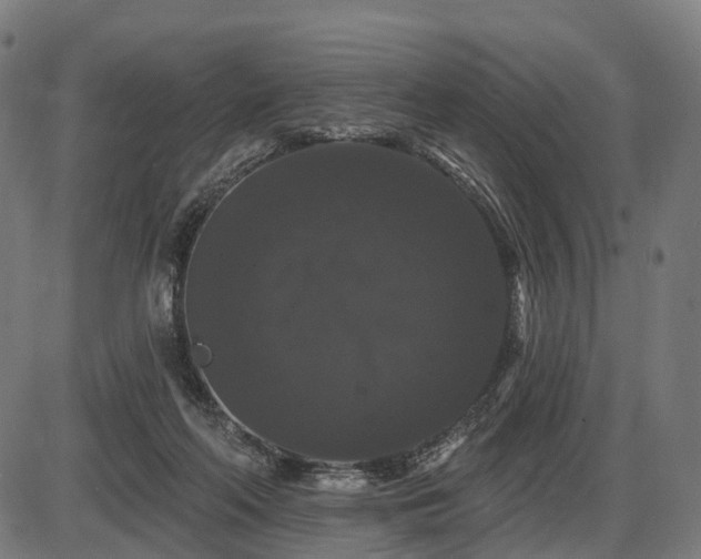X0000087530214200704271215