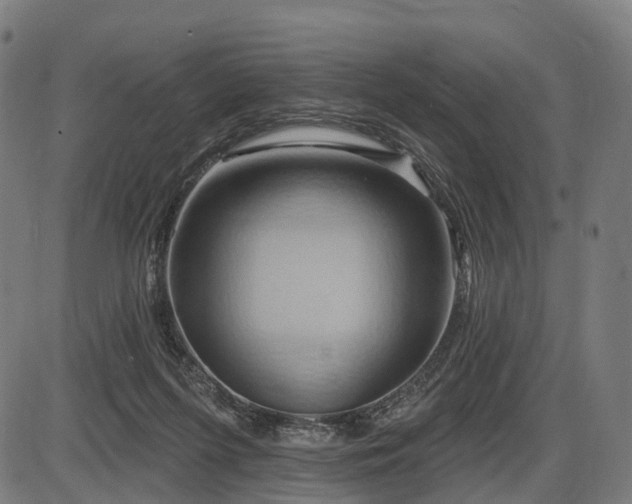 X0000087530215200704271215