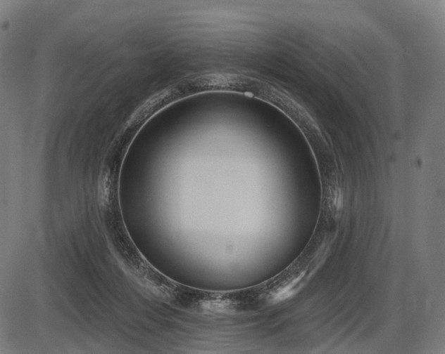 X0000087530216200704271215