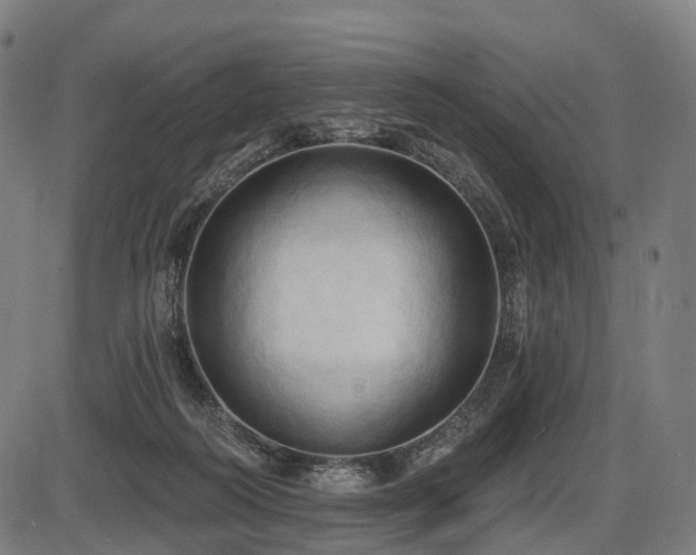 X0000087530218200704271215