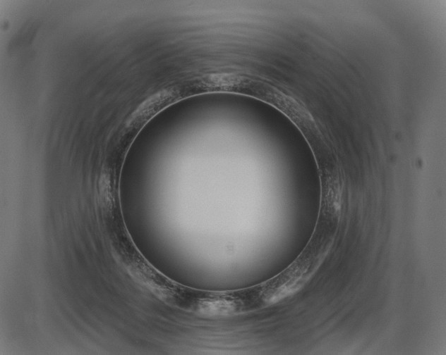 X0000087530220200704271215