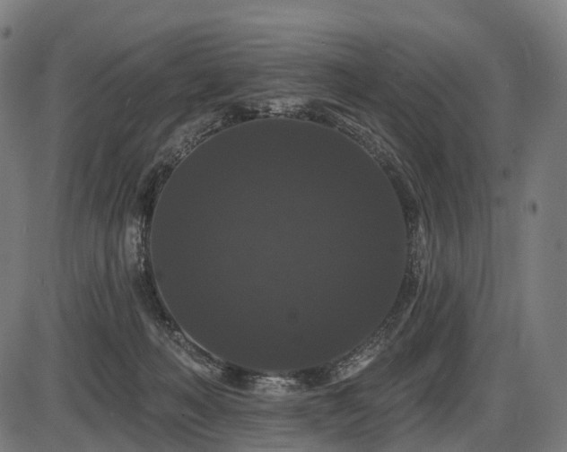 X0000087530222200704271215