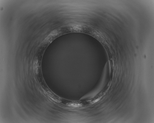 X0000087530223200704271215