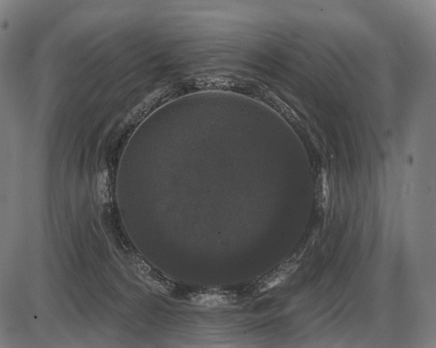 X0000087530224200704271215