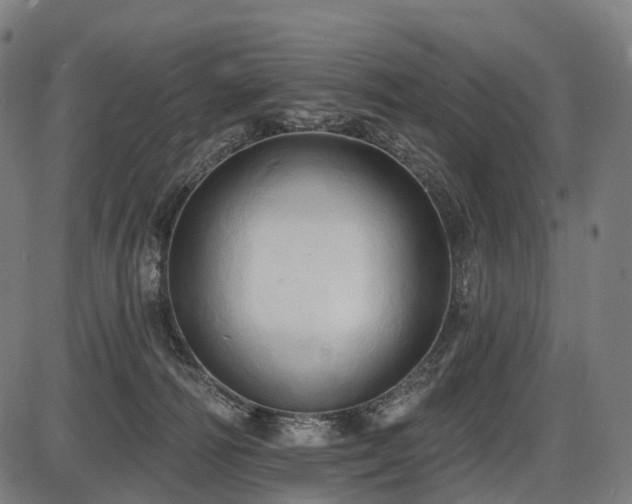 X0000087530226200704271215