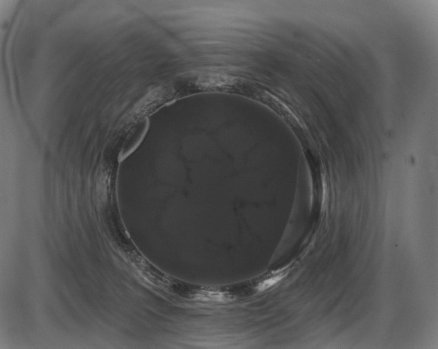 X0000087530227200704271215