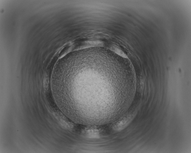 X0000087530228200704271215