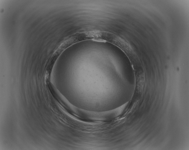 X0000087530229200704271215