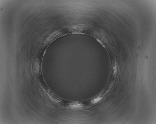 X0000087530231200704271215