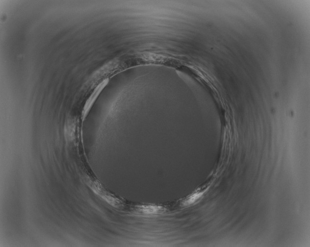 X0000087530233200704271215