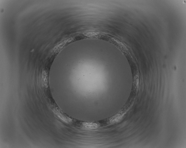 X0000087530234200704271215