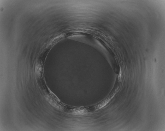 X0000087530235200704271215