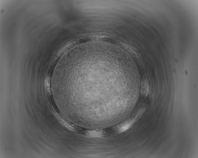 X0000087530238200704271215