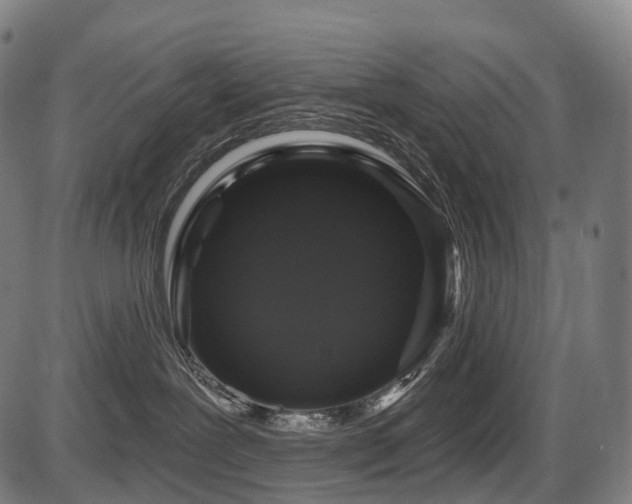 X0000087530239200704271215