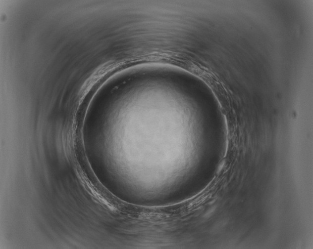 X0000087530242200704271214
