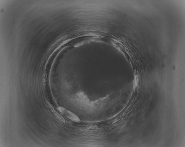 X0000087530243200704271214
