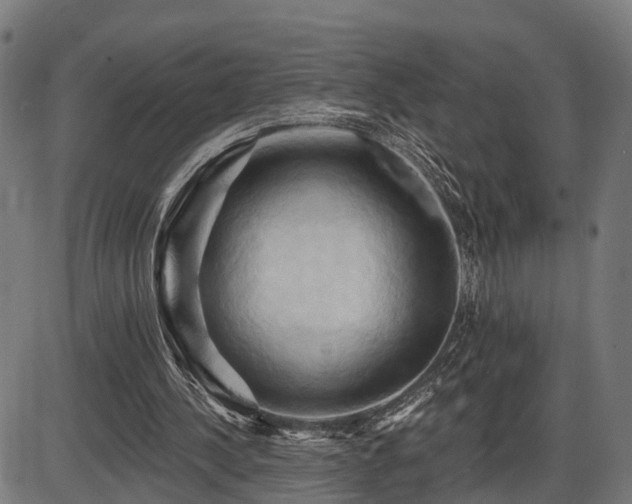 X0000087530244200704271214