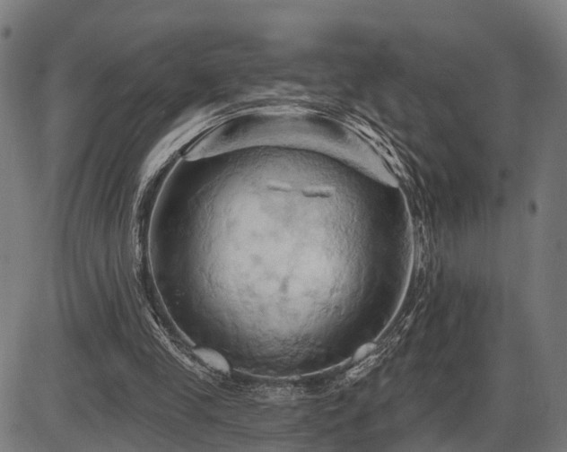 X0000087530245200704271214