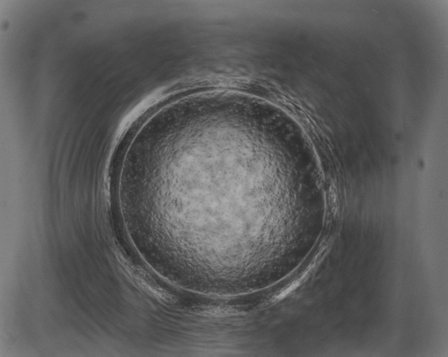 X0000087530246200704271214