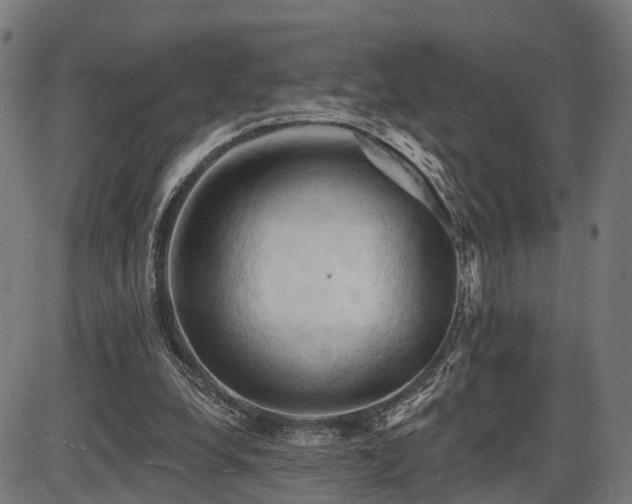 X0000087530248200704271214