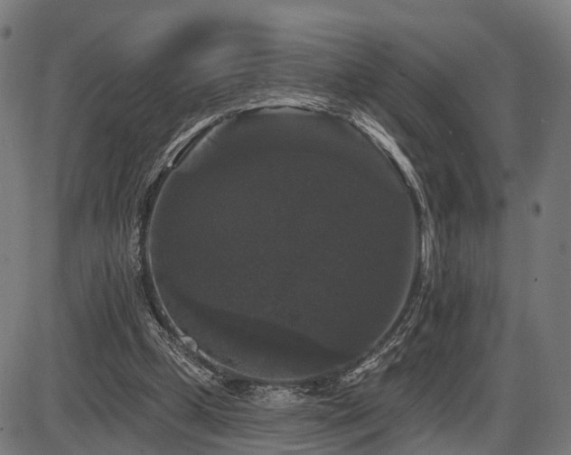 X0000087530249200704271214