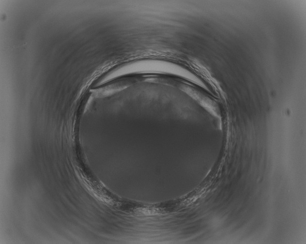 X0000087530250200704271214