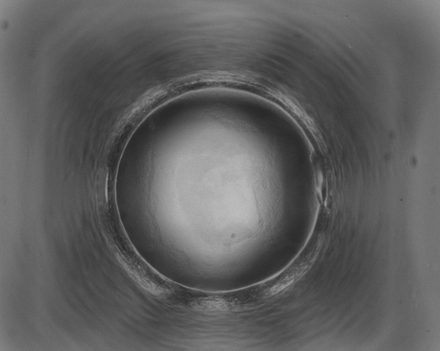 X0000087530253200704271214