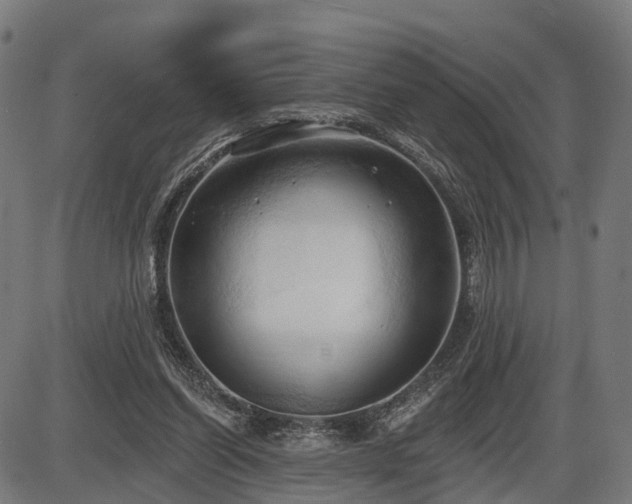 X0000087530254200704271214