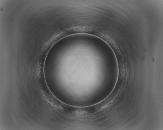 X0000087530255200704271214