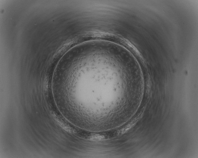 X0000087530257200704271214