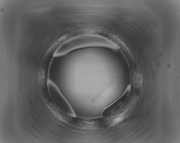 X0000087530260200704271214