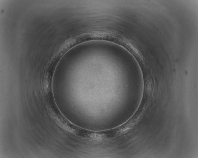 X0000087530261200704271214