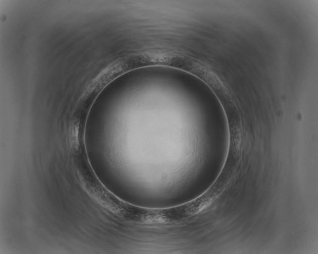 X0000087530262200704271214