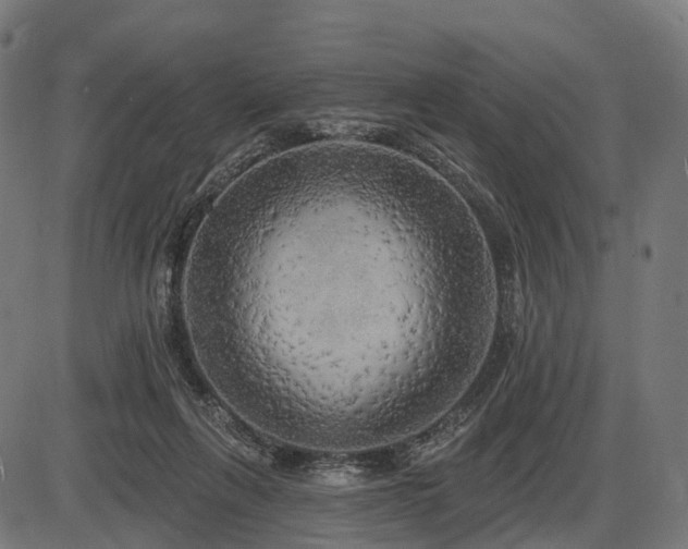 X0000087530263200704271214