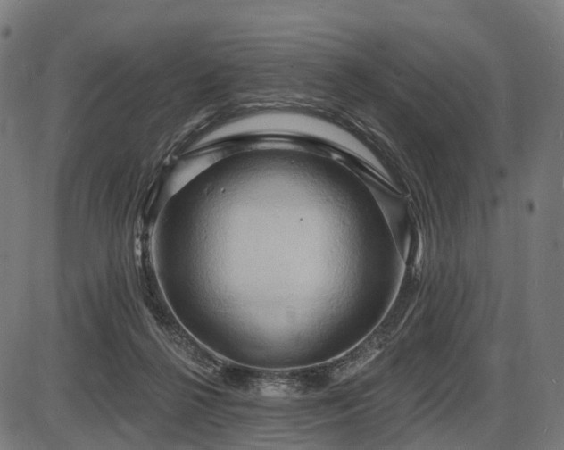 X0000087530264200704271214