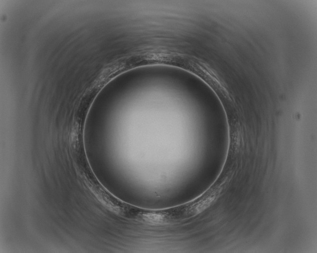X0000087530265200704271214