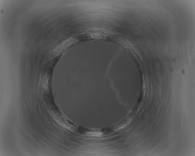 X0000087530266200704271214