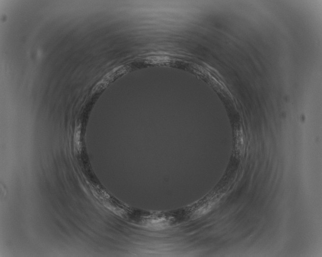 X0000087530267200704271214