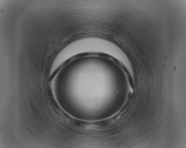 X0000087530268200704271214